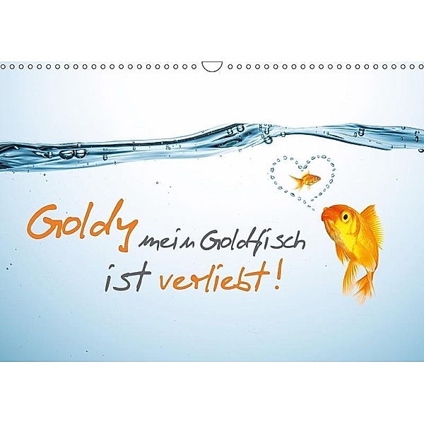 Goldy mein Goldfisch ist verliebt! (Wandkalender 2017 DIN A3 quer), R. Classen