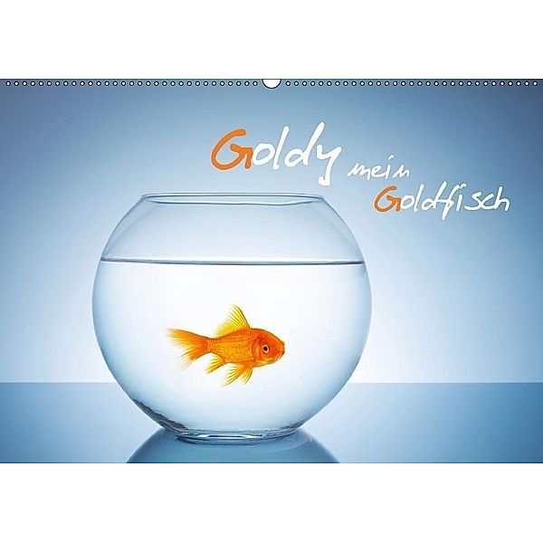 Goldy - mein Goldfisch (Wandkalender 2017 DIN A2 quer), rclassen