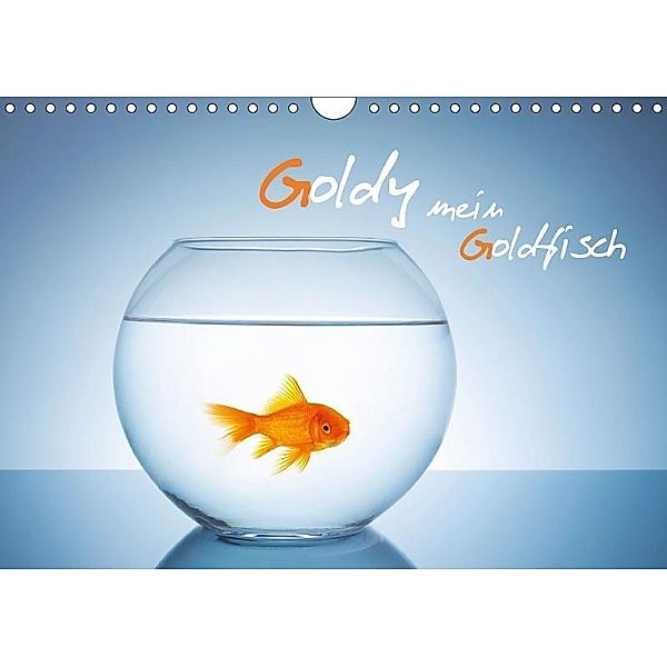 Goldy - mein Goldfisch (Wandkalender 2017 DIN A4 quer), rclassen