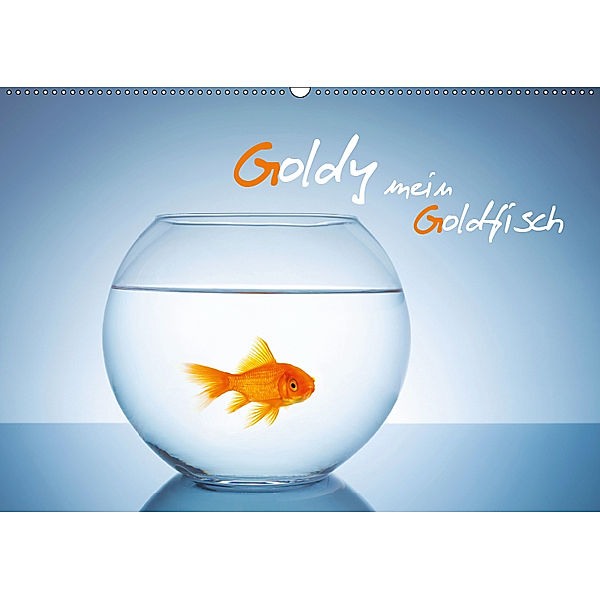 Goldy - mein Goldfisch (Wandkalender 2019 DIN A2 quer), rclassen