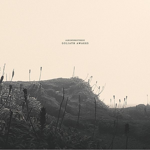 Goliath Awakes (Vinyl), Albinobrothers