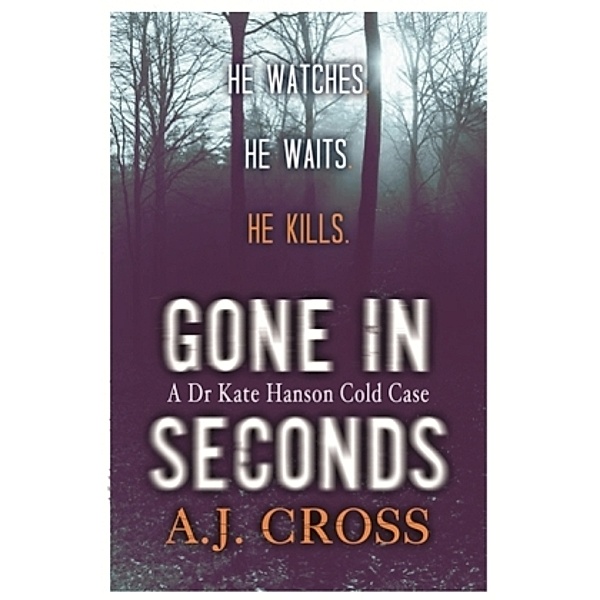 Gone in Seconds, A. J. Cross