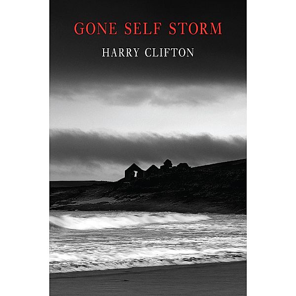Gone Self Storm, Harry Clifton