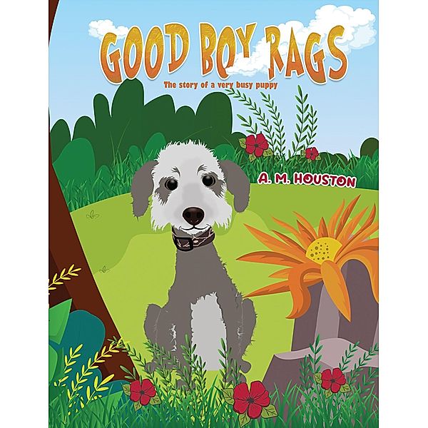 Good Boy Rags, A. M Houston