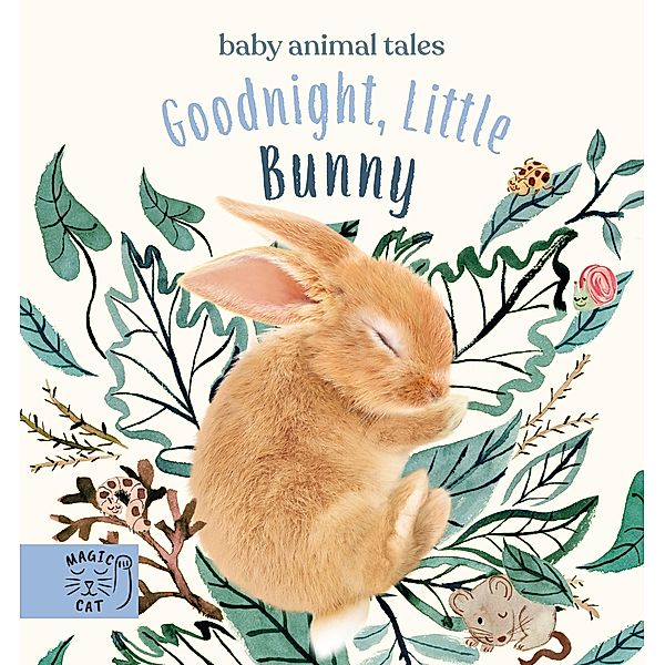 Goodnight, Little Bunny, Amanda Wood