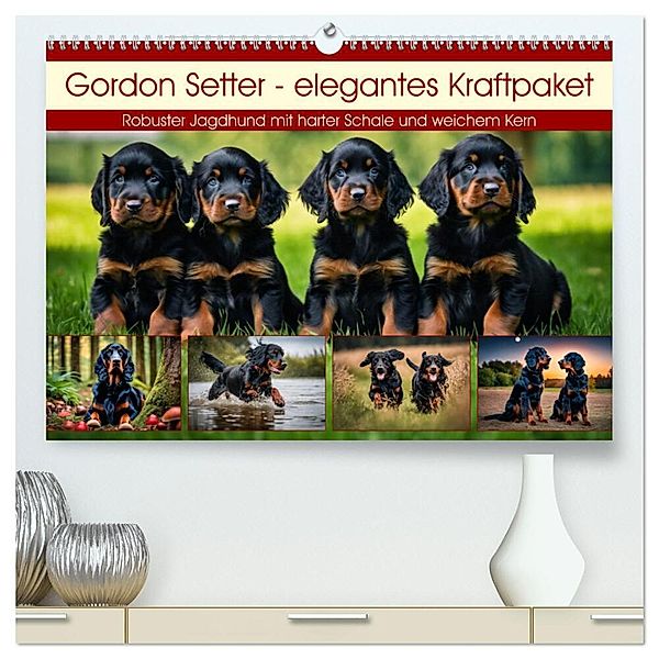 Gordon Setter - elegantes Kraftpaket (hochwertiger Premium Wandkalender 2025 DIN A2 quer), Kunstdruck in Hochglanz, Calvendo, Claudia Kleemann