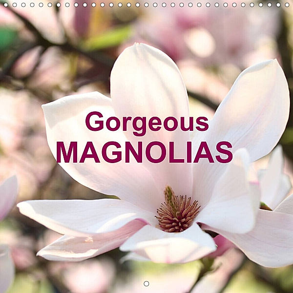 Gorgeous Magnolias (Wall Calendar 2023 300 × 300 mm Square), Gisela Kruse