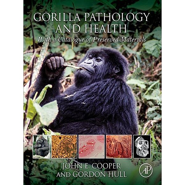 Gorilla Pathology and Health, John E Cooper, Gordon Hull