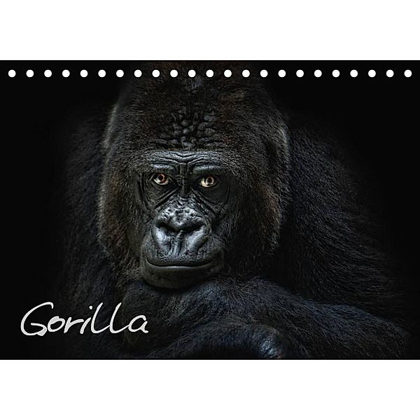Gorilla (Tischkalender 2023 DIN A5 quer), Joachim Pinkawa / Jo.PinX