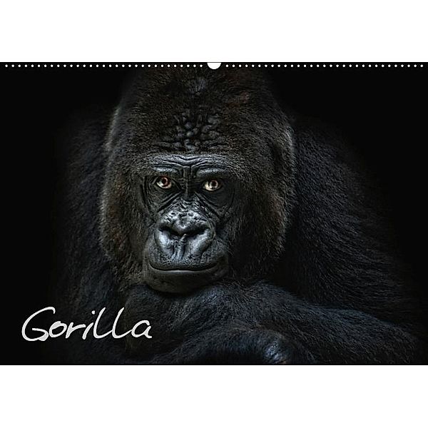 Gorilla (Wandkalender 2019 DIN A2 quer), Joachim G. Pinkawa