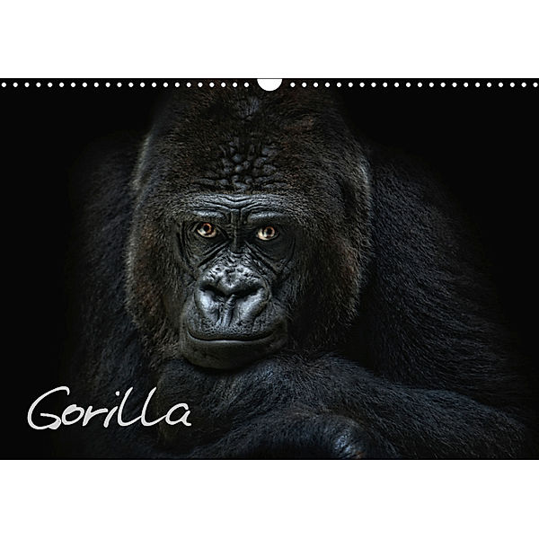 Gorilla (Wandkalender 2019 DIN A3 quer), Joachim G. Pinkawa