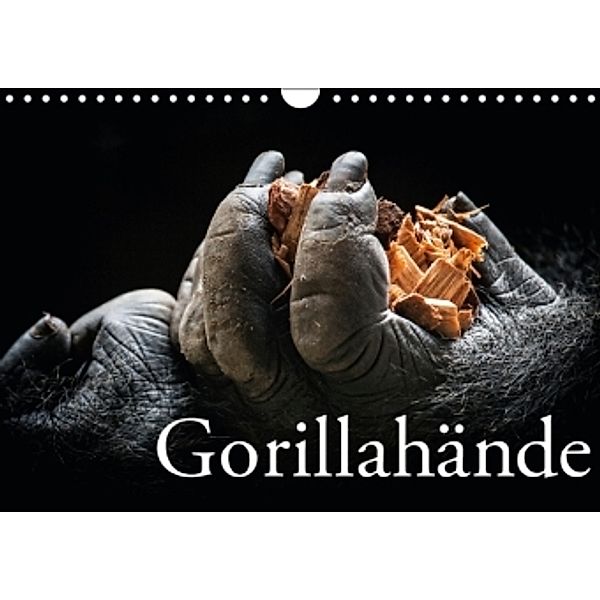 Gorillahände (Wandkalender 2016 DIN A4 quer), Ulrich Brodde