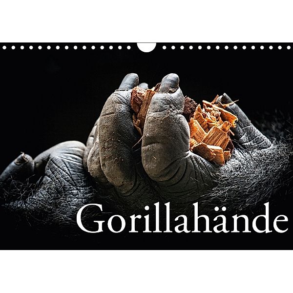 Gorillahände (Wandkalender 2018 DIN A4 quer), Ulrich Brodde
