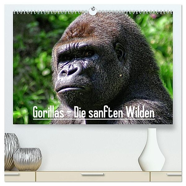 Gorillas - Die sanften Wilden (hochwertiger Premium Wandkalender 2024 DIN A2 quer), Kunstdruck in Hochglanz, Peter Hebgen