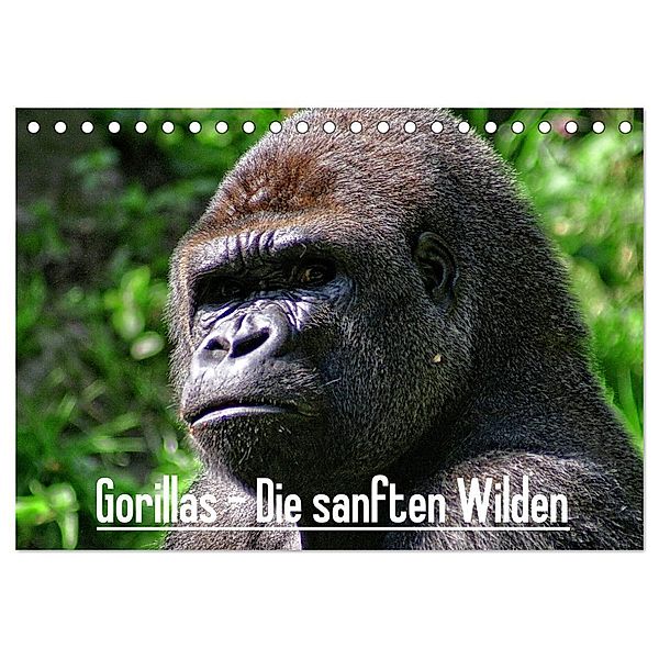 Gorillas - Die sanften Wilden (Tischkalender 2025 DIN A5 quer), CALVENDO Monatskalender, Calvendo, Peter Hebgen