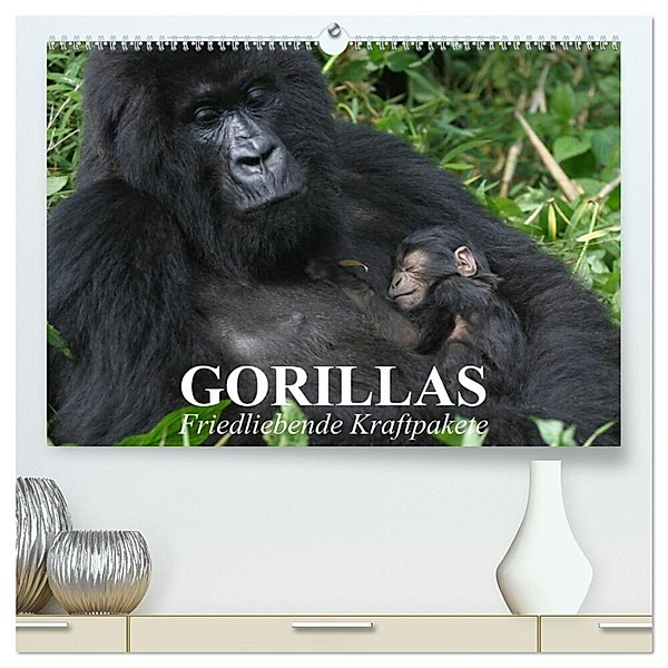 Gorillas. Friedliebende Kraftpakete (hochwertiger Premium Wandkalender 2024 DIN A2 quer), Kunstdruck in Hochglanz, Elisabeth Stanzer
