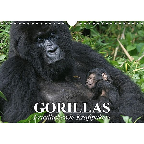 Gorillas. Friedliebende Kraftpakete (Wandkalender 2020 DIN A4 quer), Elisabeth Stanzer