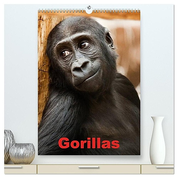 Gorillas (hochwertiger Premium Wandkalender 2024 DIN A2 hoch), Kunstdruck in Hochglanz, Elisabeth Stanzer