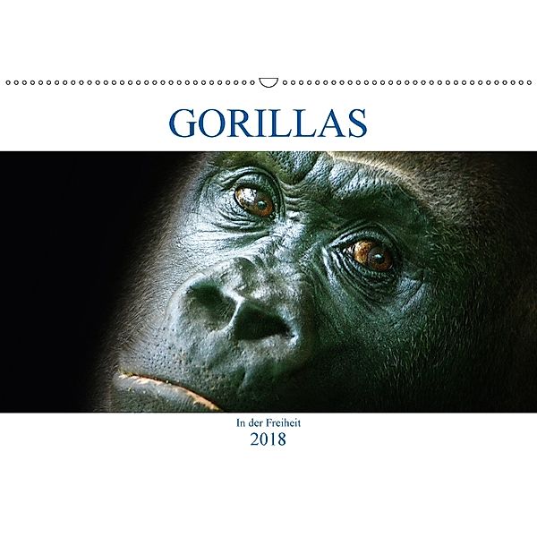 Gorillas - In der Freiheit (Wandkalender 2018 DIN A2 quer), Boris Robert