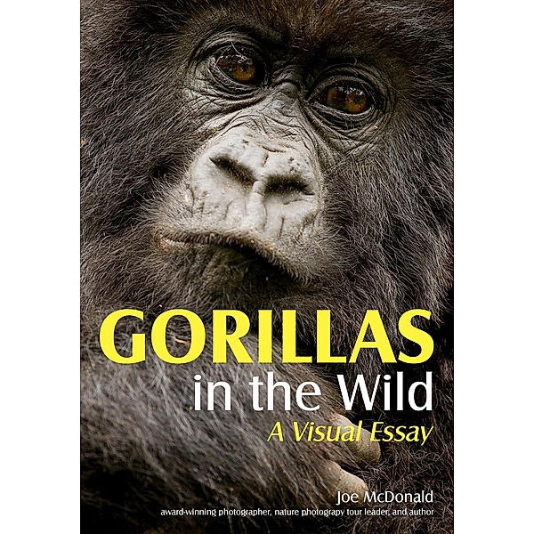 Gorillas in the Wild, Joe Mcdonald