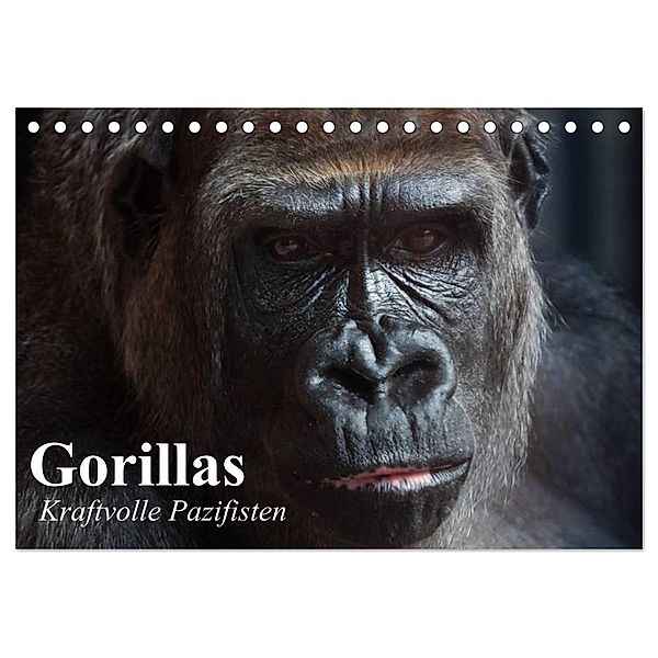 Gorillas. Kraftvolle Pazifisten (Tischkalender 2024 DIN A5 quer), CALVENDO Monatskalender, Elisabeth Stanzer