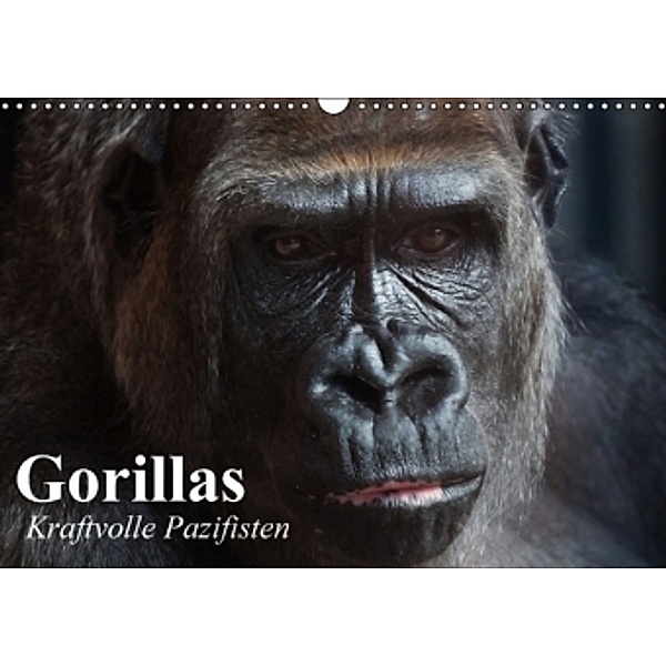 Gorillas. Kraftvolle Pazifisten (Wandkalender 2014 DIN A3 quer), Elisabeth Stanzer