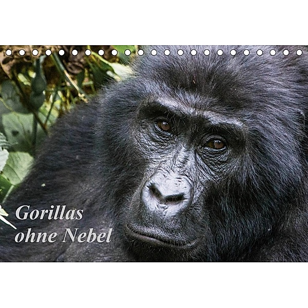 Gorillas ohne Nebel (Tischkalender 2020 DIN A5 quer), Helmut Gulbins