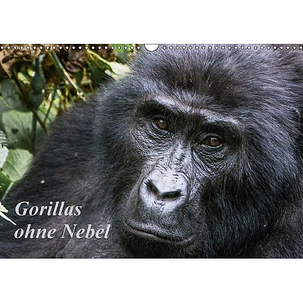 Gorillas ohne Nebel (Wandkalender 2018 DIN A3 quer), Helmut Gulbins