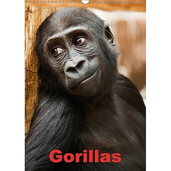 Gorillas (Wandkalender 2017 DIN A3 hoch), Elisabeth Stanzer