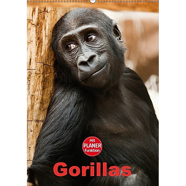 Gorillas (Wandkalender 2018 DIN A2 hoch), Elisabeth Stanzer