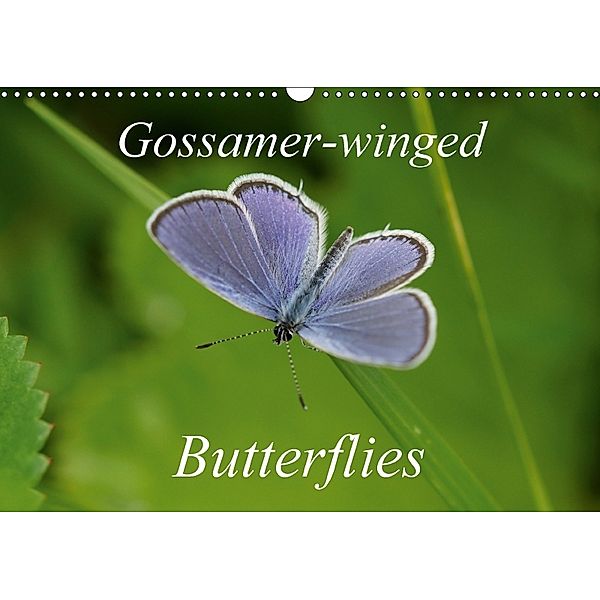 Gossamer-winged Butterflies (Wall Calendar 2018 DIN A3 Landscape), Ulrike Schaefer