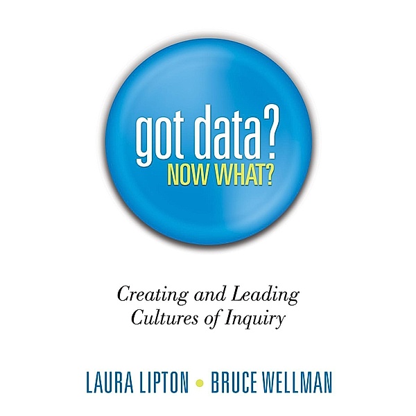 Got Data? Now What?, Laura Lipton, Bruce Wellman
