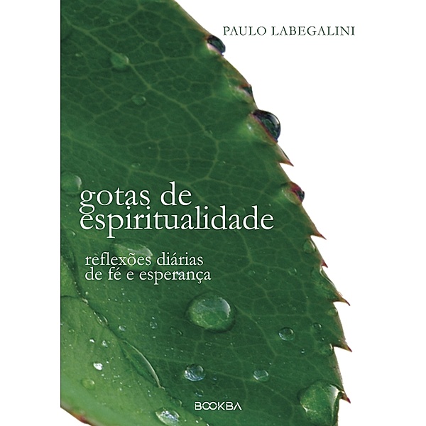 Gotas de Espiritualidade, Paulo Labegalini