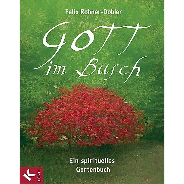 Gott im Busch, Felix Rohner-Dobler