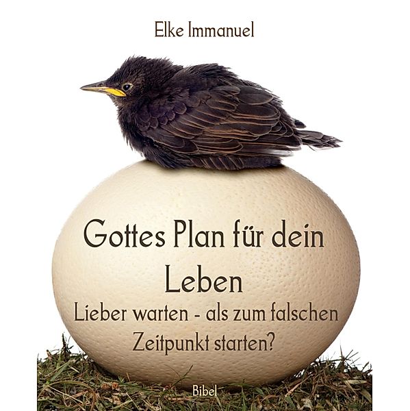 Gottes Plan für dein Leben, Elke Immanuel