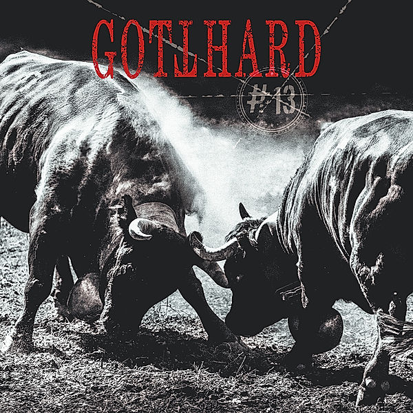 Gotthard #13