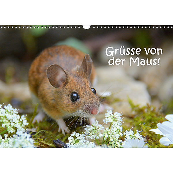 Gr?sse von der Maus! (Wandkalender 2019 DIN A3 quer), GUGIGEI