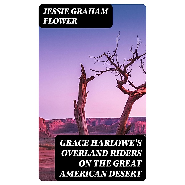 Grace Harlowe's Overland Riders on the Great American Desert, Jessie Graham Flower