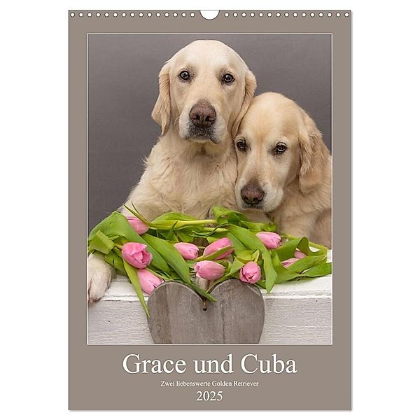 Grace und Cuba - Zwei liebenswerte Golden Retriever (Wandkalender 2025 DIN A3 hoch), CALVENDO Monatskalender, Calvendo, Jessica Bernhardt