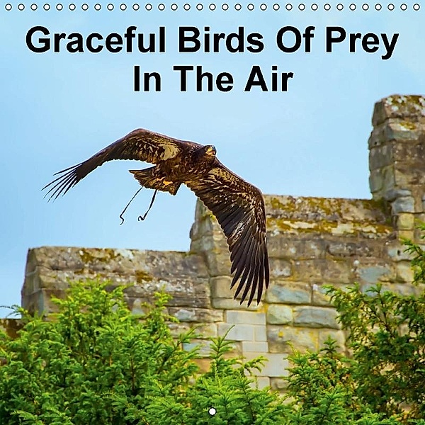 Graceful Birds Of Prey In The Air (Wall Calendar 2017 300 × 300 mm Square), Gabriela Wernicke-Marfo, photoga - Gabriela Wernicke-Marfo