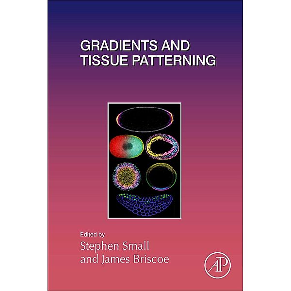 Gradients and Tissue Patterning