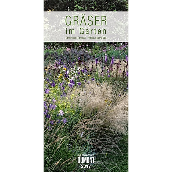 Gräser im Garten 2017