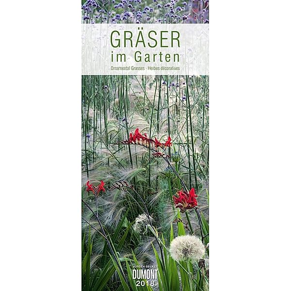 Gräser im Garten 2018
