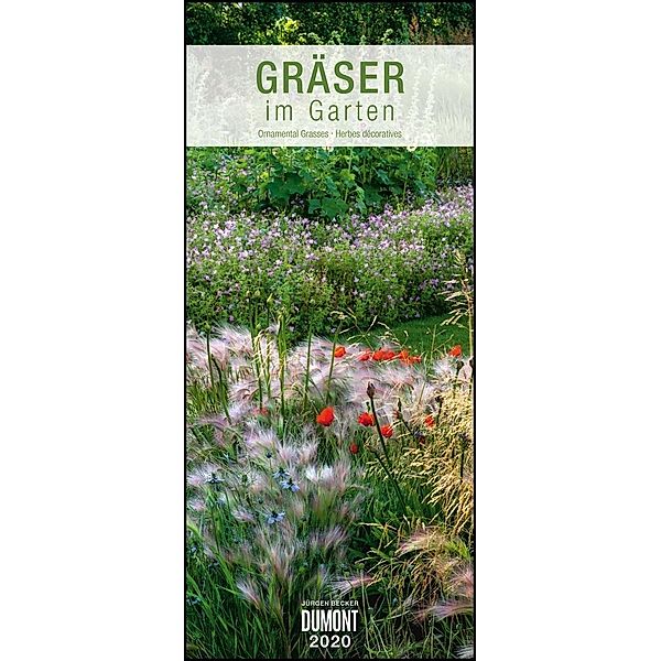 Gräser im Garten 2020