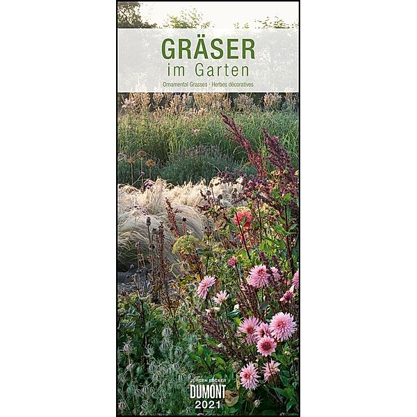 Gräser im Garten 2021