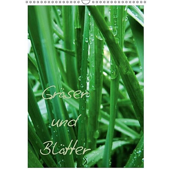 Gräser und Blätter (Wandkalender 2017 DIN A3 hoch), Anja Otto