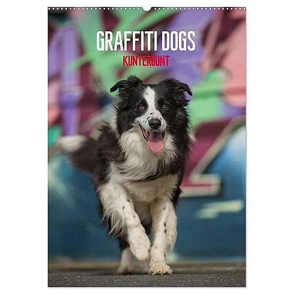 Graffiti Dogs Kunterbunt (Wandkalender 2024 DIN A2 hoch), CALVENDO Monatskalender, Judith Dzierzawa - DoraZett