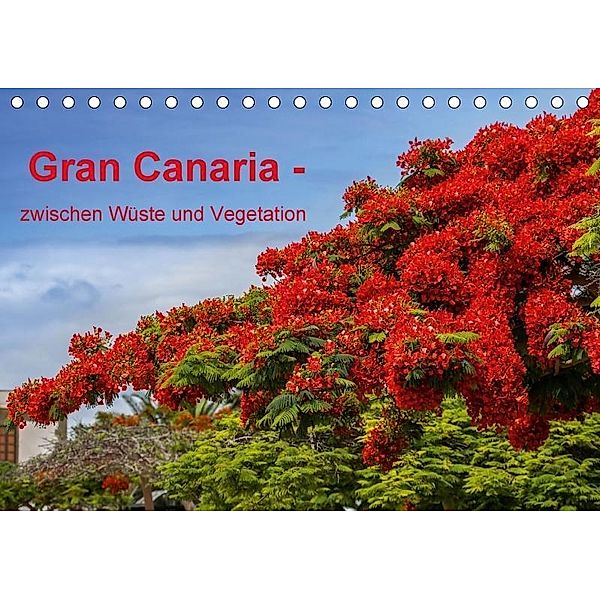 Gran Canaria - zwischen Wüste und Vegetation (Tischkalender 2017 DIN A5 quer), Brigitte Jaritz