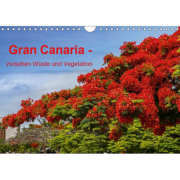 Gran Canaria - zwischen Wüste und Vegetation (Wandkalender 2019 DIN A4 quer), Brigitte Jaritz