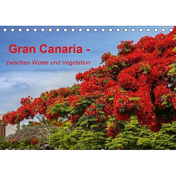 Gran Canaria - zwischen Wüste und Vegetation (Tischkalender 2020 DIN A5 quer), Brigitte Jaritz